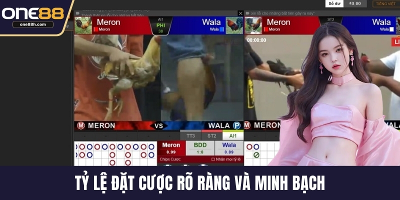 Tỷ lệ đặt cược rõ ràng và minh bạch